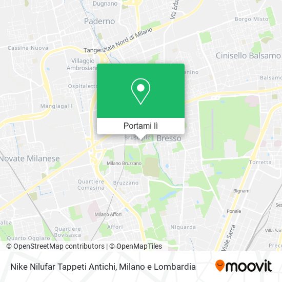 Mappa Nike Nilufar Tappeti Antichi