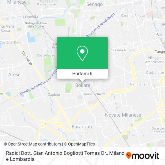 Mappa Radici Dott. Gian Antonio Bogliotti Tomas Dr.