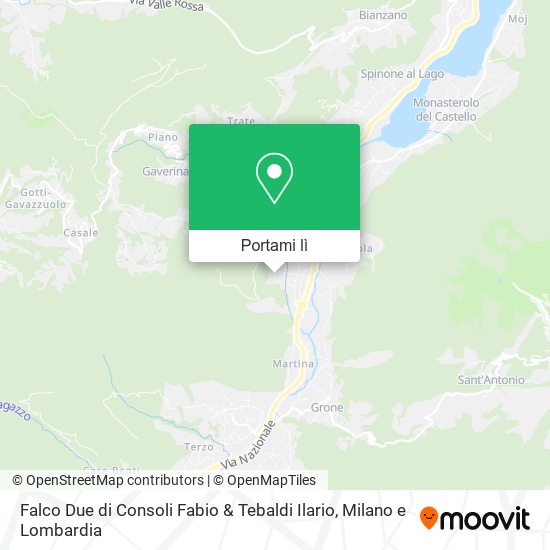 Mappa Falco Due di Consoli Fabio & Tebaldi Ilario