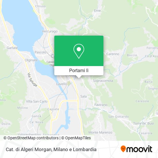 Mappa Cat. di Algeri Morgan
