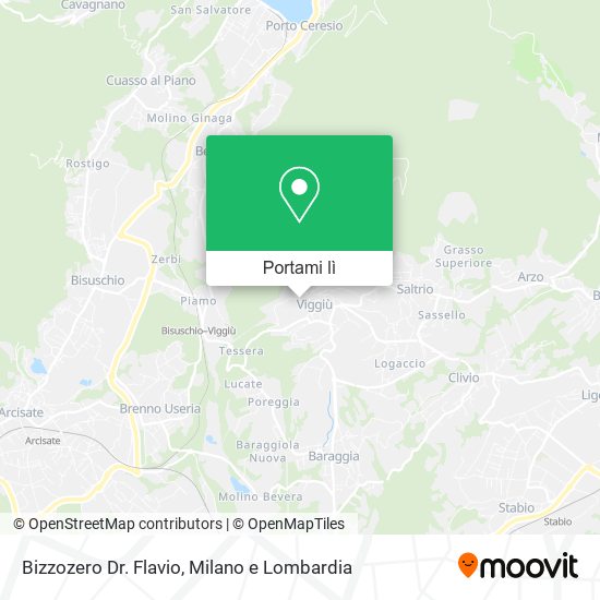 Mappa Bizzozero Dr. Flavio