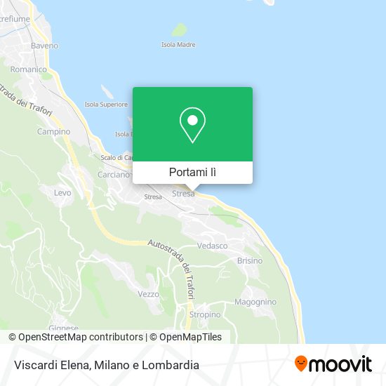 Mappa Viscardi Elena