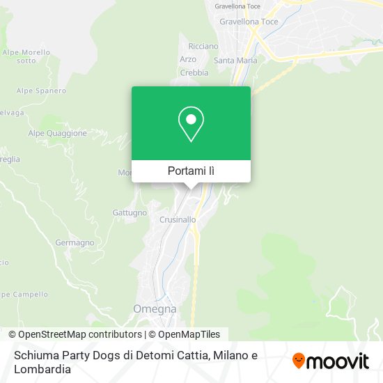 Mappa Schiuma Party Dogs di Detomi Cattia