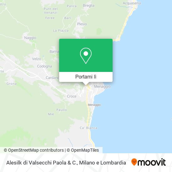 Mappa Alesilk di Valsecchi Paola & C.