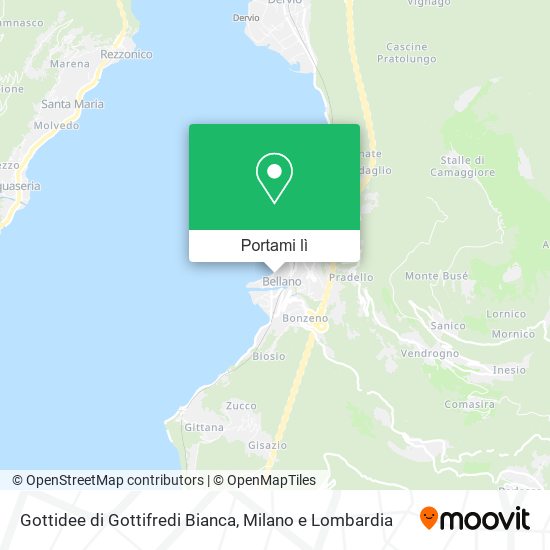 Mappa Gottidee di Gottifredi Bianca