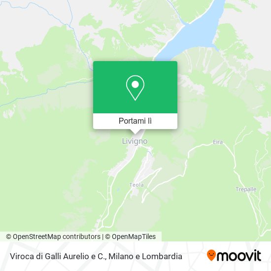 Mappa Viroca di Galli Aurelio e C.