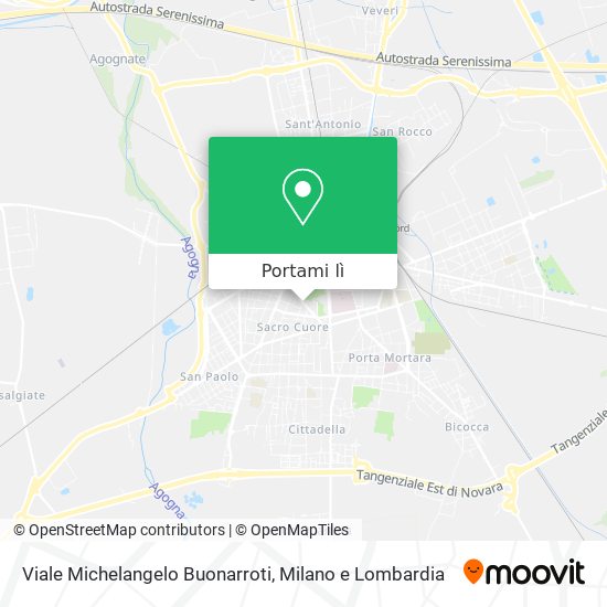 Mappa Viale Michelangelo Buonarroti