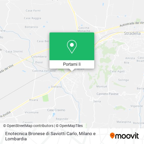 Mappa Enotecnica Bronese di Saviotti Carlo