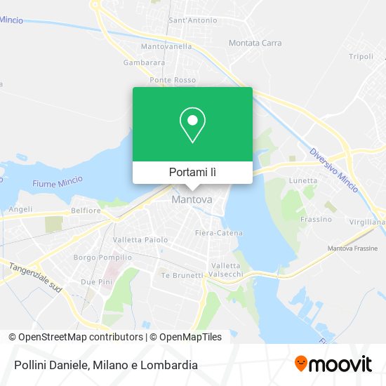 Mappa Pollini Daniele