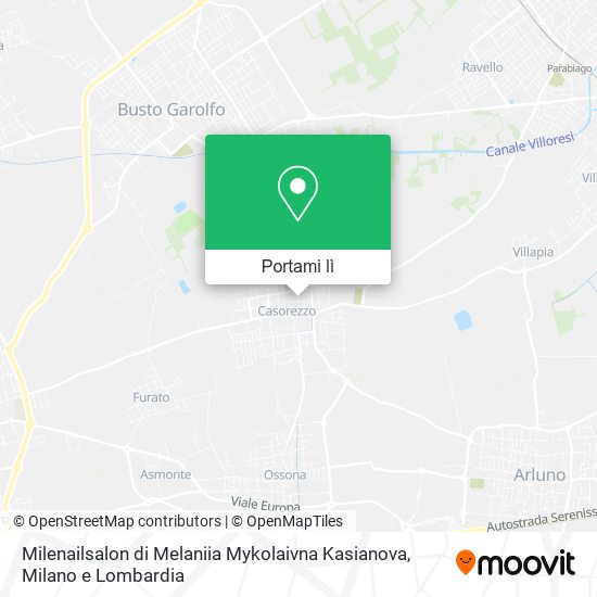 Mappa Milenailsalon di Melaniia Mykolaivna Kasianova