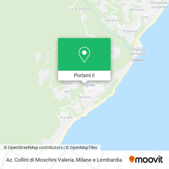 Mappa Az. Collini di Moschini Valeria