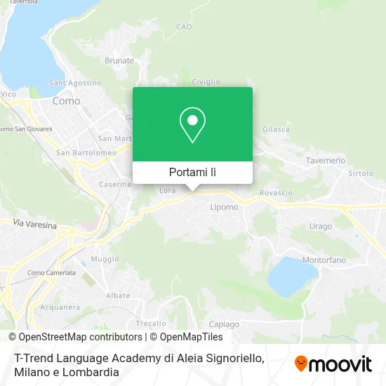 Mappa T-Trend Language Academy di Aleia Signoriello