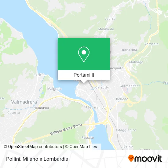 Mappa Pollini