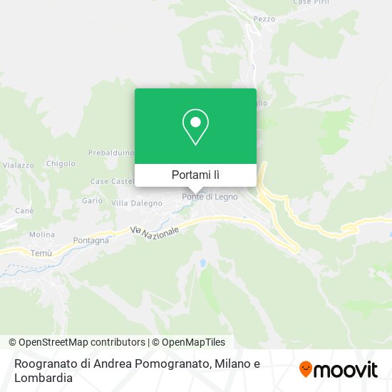 Mappa Roogranato di Andrea Pomogranato