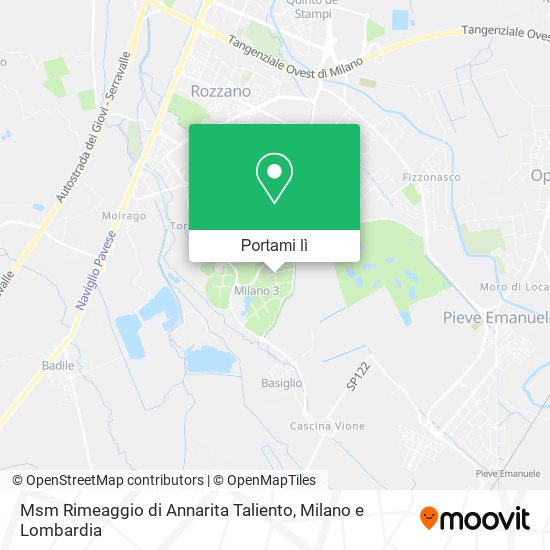 Mappa Msm Rimeaggio di Annarita Taliento