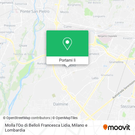 Mappa Molla l'Oo di Belloli Francesca Lidia