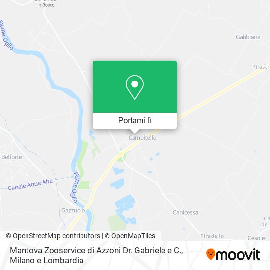 Mappa Mantova Zooservice di Azzoni Dr. Gabriele e C.