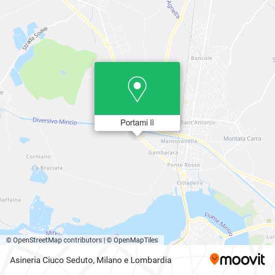 Mappa Asineria Ciuco Seduto