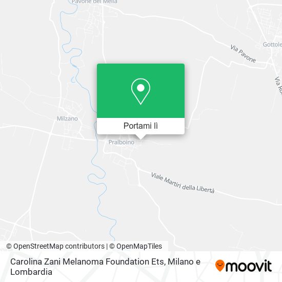 Mappa Carolina Zani Melanoma Foundation Ets