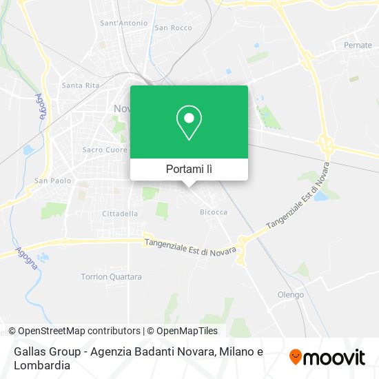 Mappa Gallas Group - Agenzia Badanti Novara