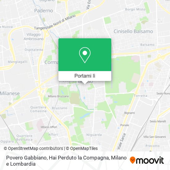 Mappa Povero Gabbiano, Hai Perduto la Compagna