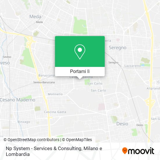 Mappa Np System - Services & Consulting
