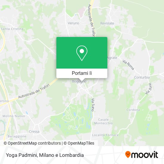 Mappa Yoga Padmini