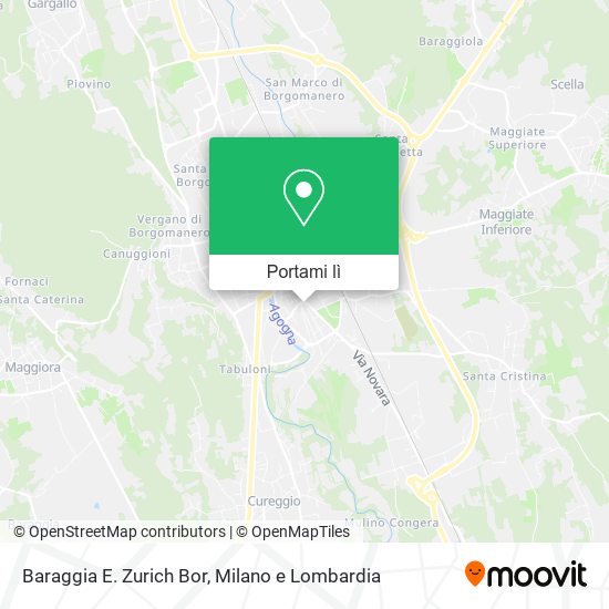 Mappa Baraggia E. Zurich Bor