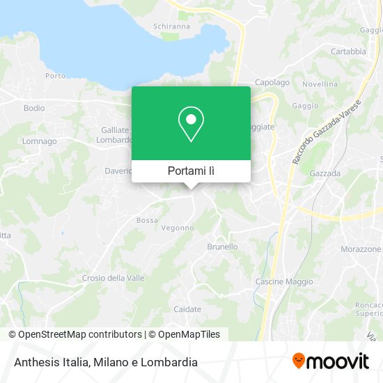 Mappa Anthesis Italia