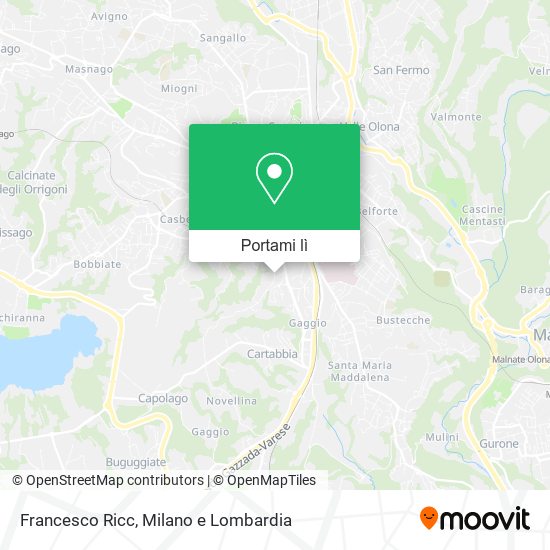 Mappa Francesco Ricc