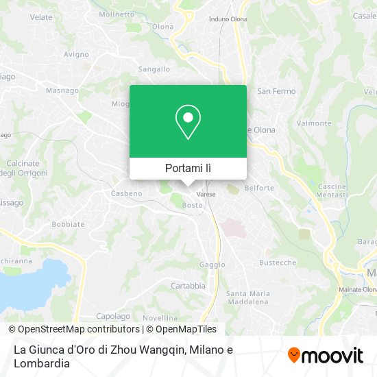 Mappa La Giunca d'Oro di Zhou Wangqin