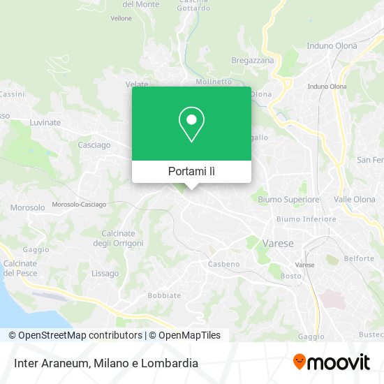 Mappa Inter Araneum
