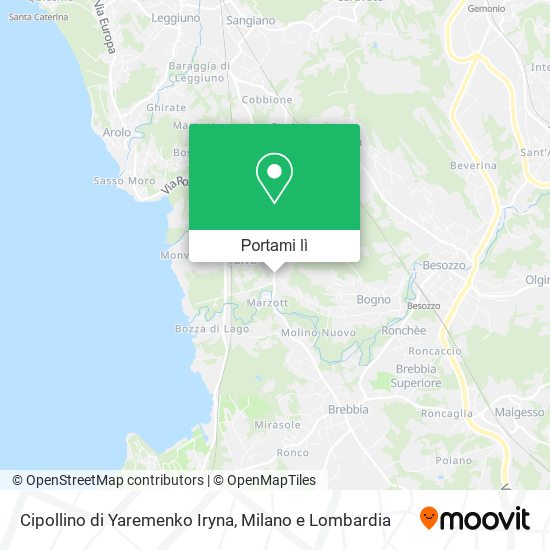 Mappa Cipollino di Yaremenko Iryna