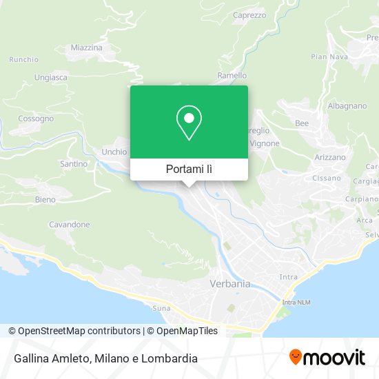 Mappa Gallina Amleto