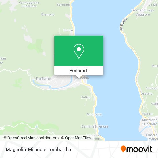 Mappa Magnolia