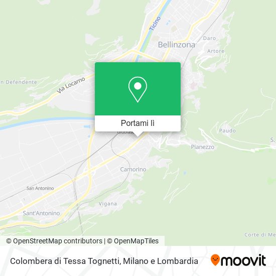 Mappa Colombera di Tessa Tognetti