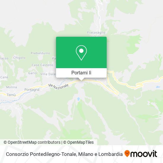 Mappa Consorzio Pontedilegno-Tonale