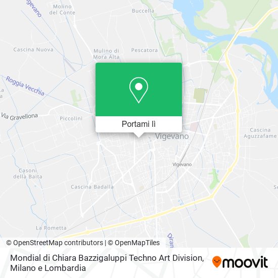 Mappa Mondial di Chiara Bazzigaluppi Techno Art Division