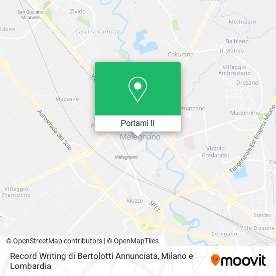 Mappa Record Writing di Bertolotti Annunciata