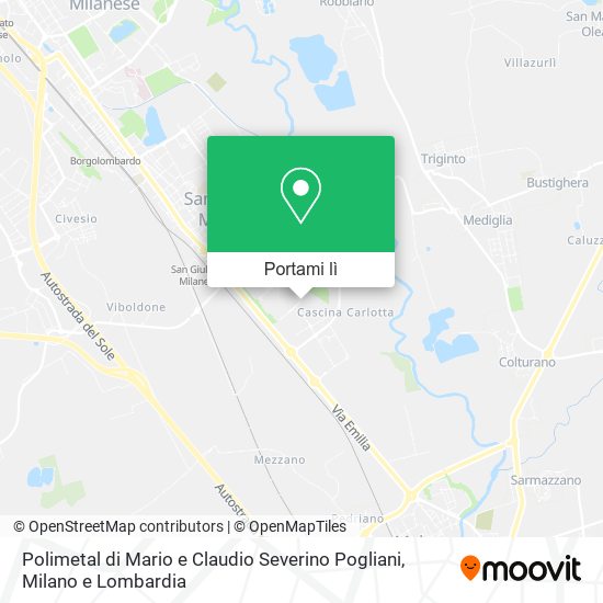 Mappa Polimetal di Mario e Claudio Severino Pogliani