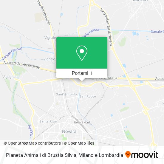 Mappa Pianeta Animali di Brustia Silvia
