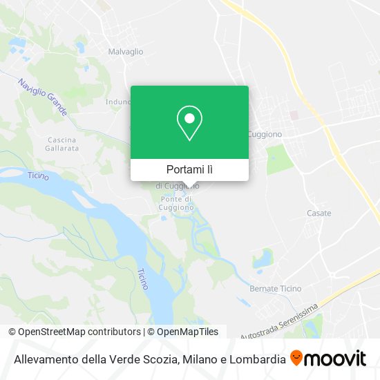 Mappa Allevamento della Verde Scozia