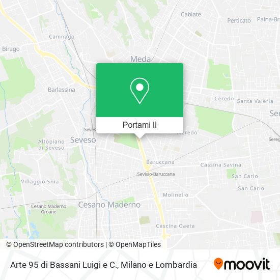 Mappa Arte 95 di Bassani Luigi e C.