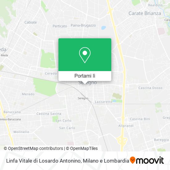 Mappa Linfa Vitale di Losardo Antonino