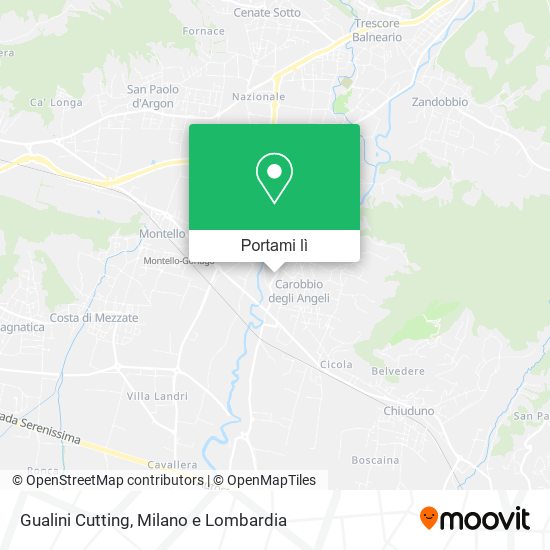 Mappa Gualini Cutting