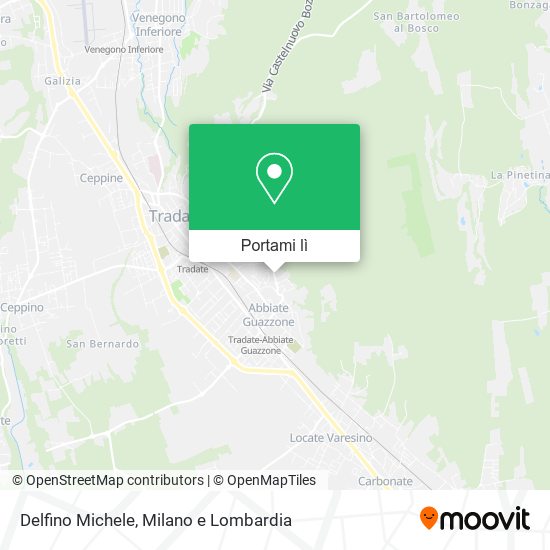 Mappa Delfino Michele