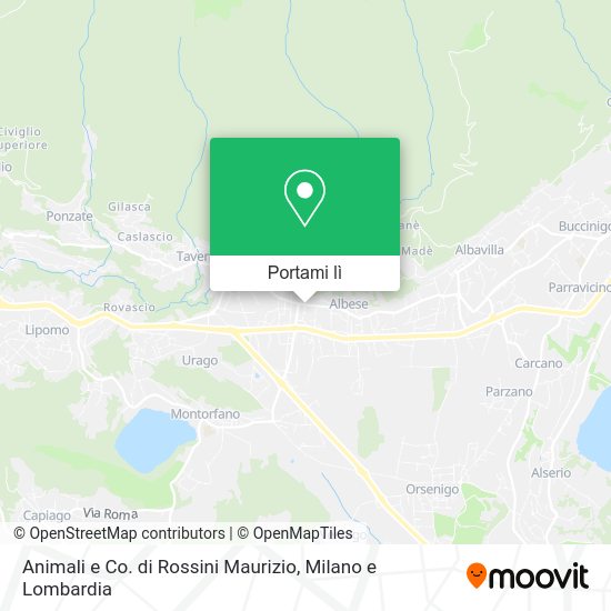 Mappa Animali e Co. di Rossini Maurizio