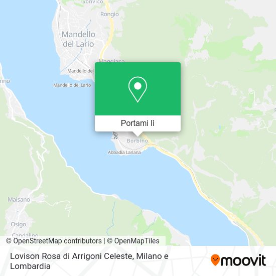 Mappa Lovison Rosa di Arrigoni Celeste