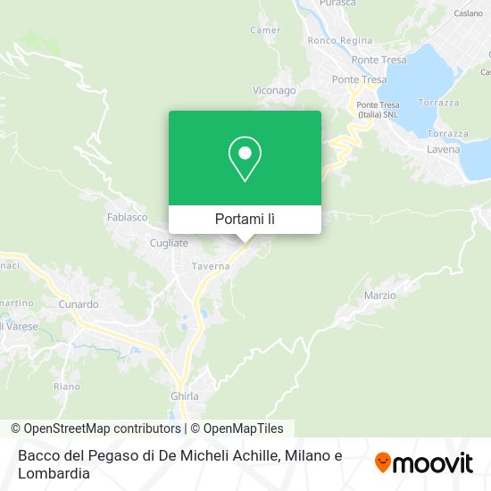 Mappa Bacco del Pegaso di De Micheli Achille