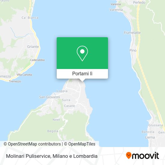 Mappa Molinari Puliservice